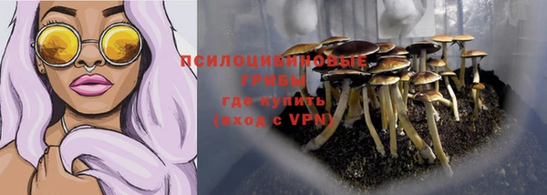 круглые Лагань
