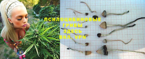 каннабис Лабытнанги