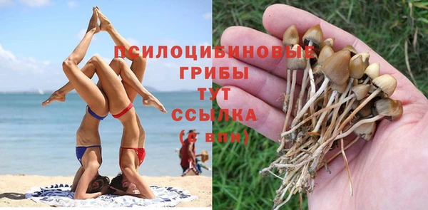 каннабис Ладушкин
