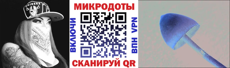 Галлюциногенные грибы GOLDEN TEACHER  Купить  Талица 